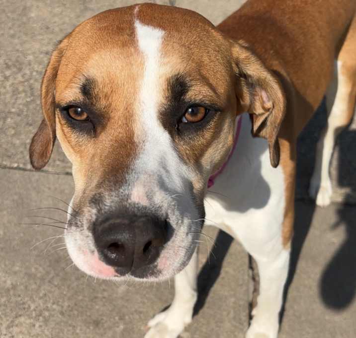 Photo of Harley