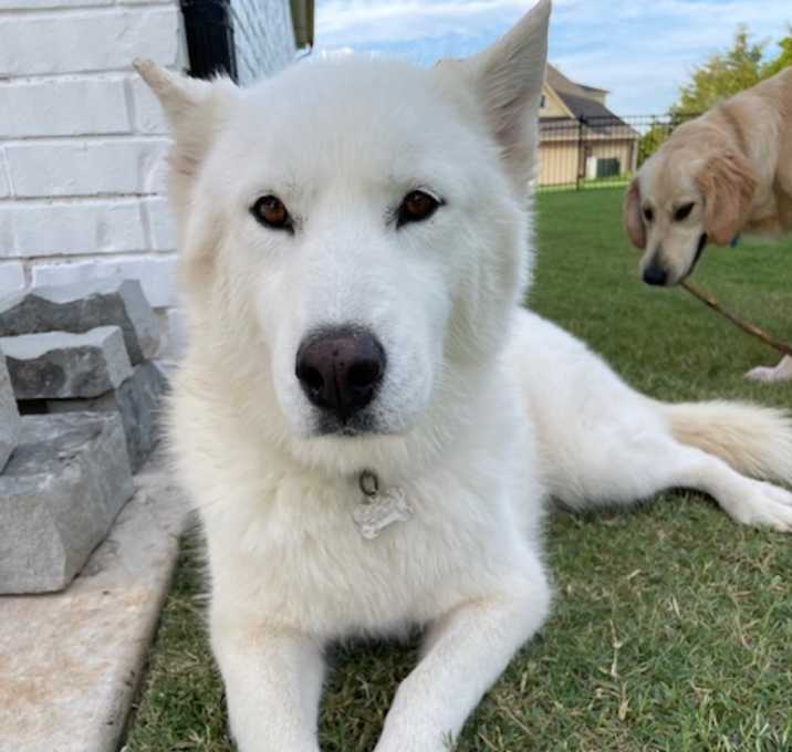 Photo of Elsa