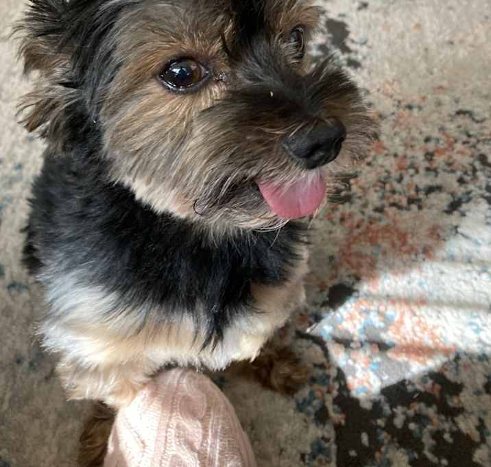 Photo of Max