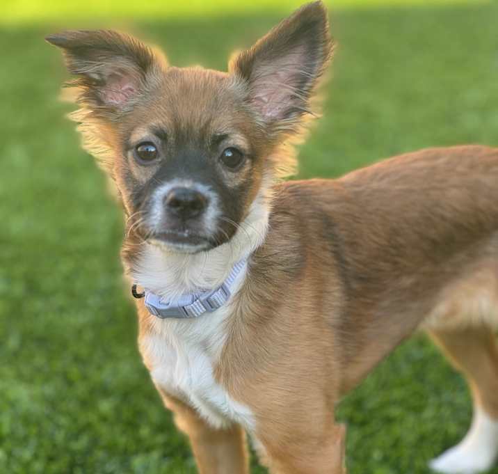Photo of Toto