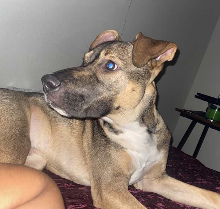 Photo of Bourbon