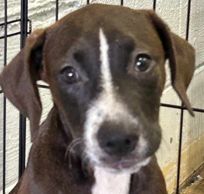 Photo of Tucker