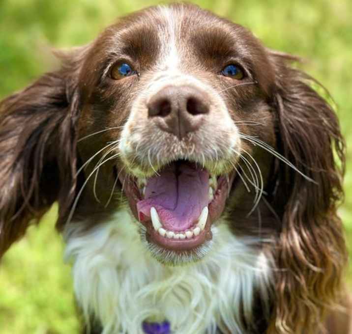 Photo of Star