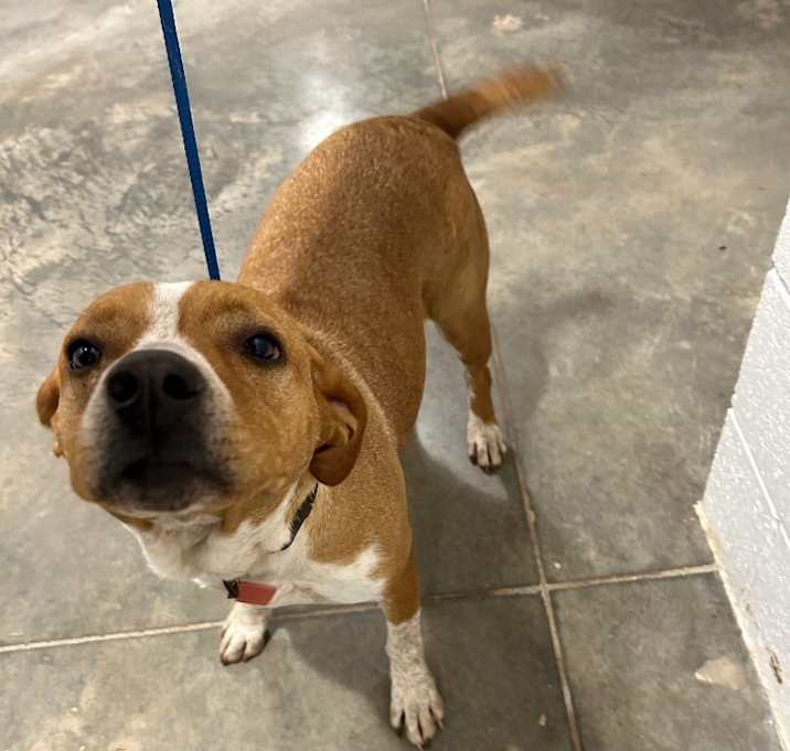 Photo of Wiggles