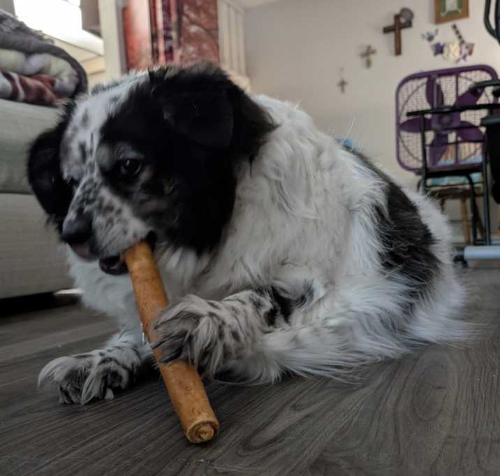 Photo of Jack