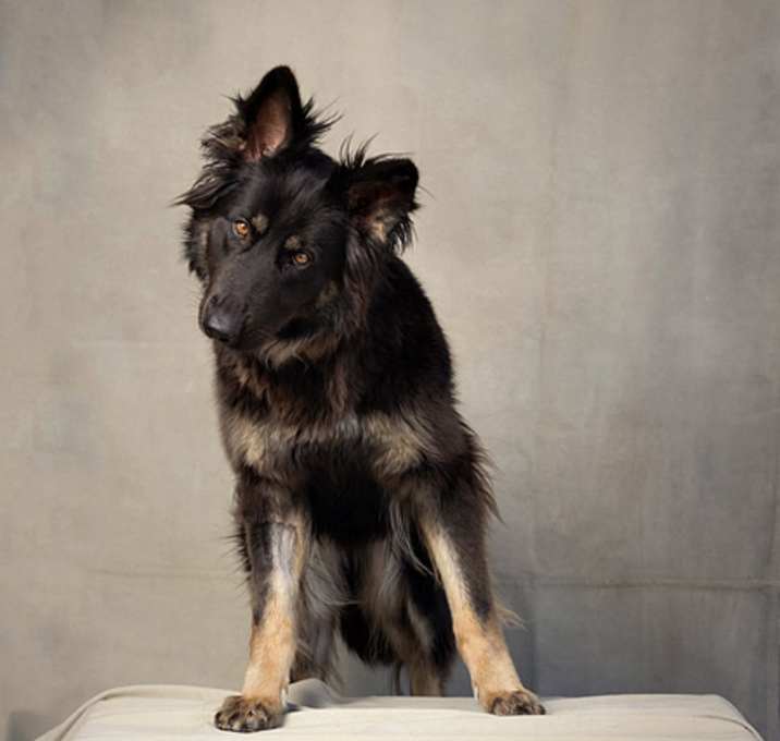 Photo of NALA