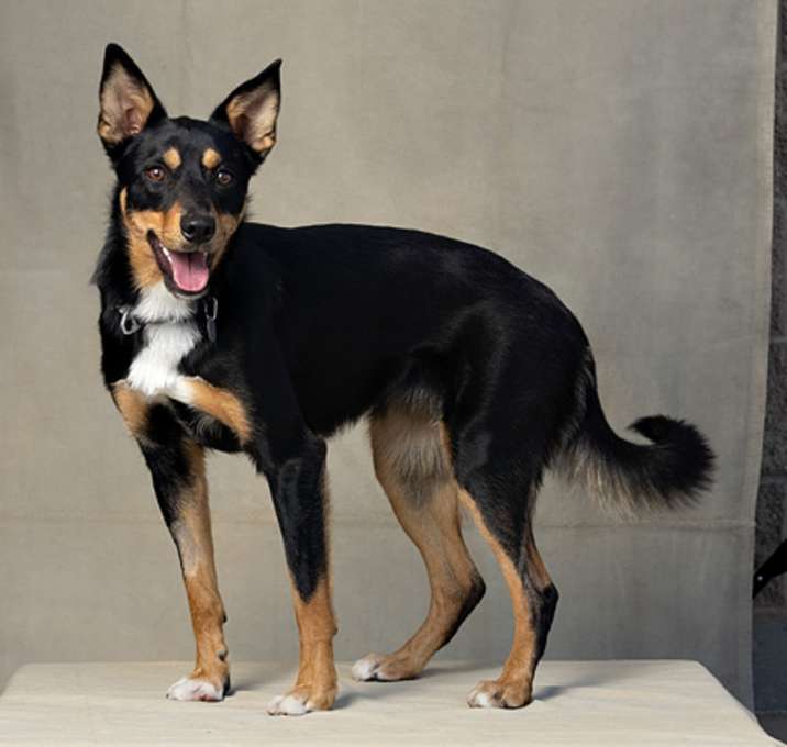 Photo of *AGNES