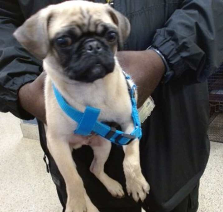 Photo of TEDDY