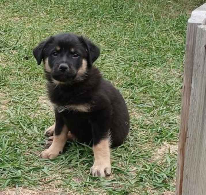 Photo of Lucy
