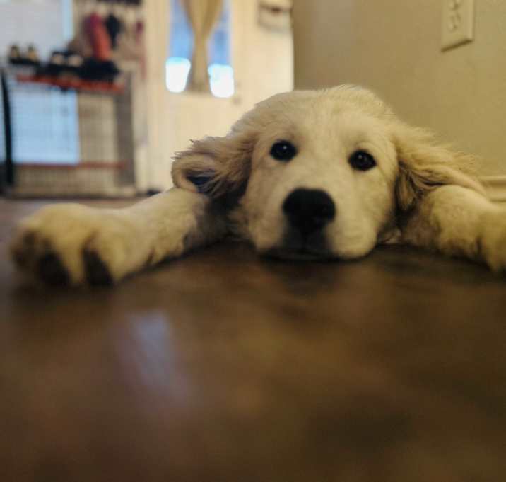 Photo of Zeus