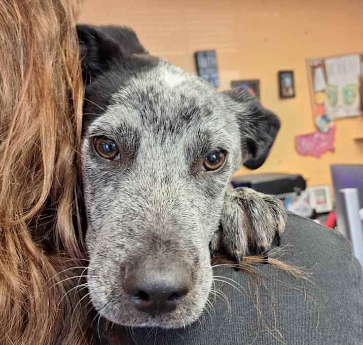 Photo of Sprout