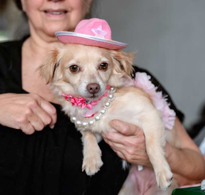 Photo of Buttercup