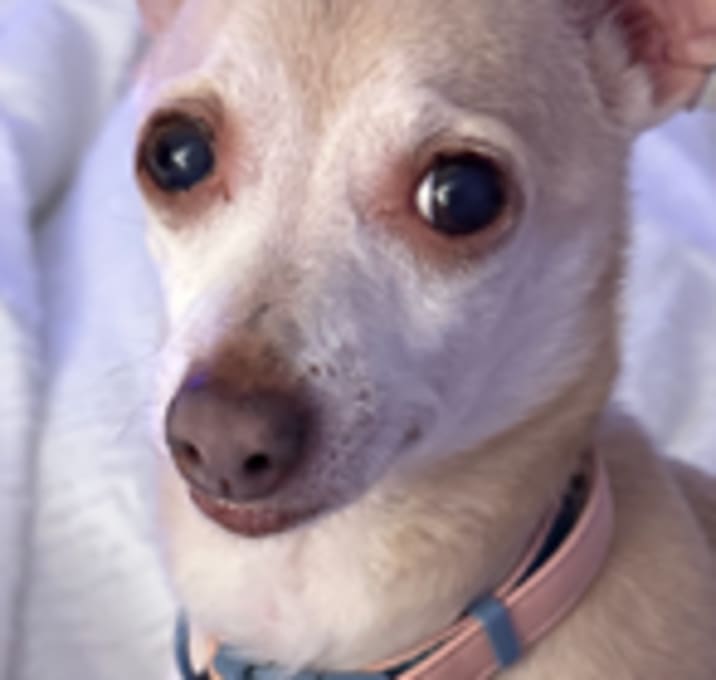 Photo of Mimi
