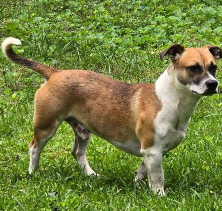 Photo of Tucker