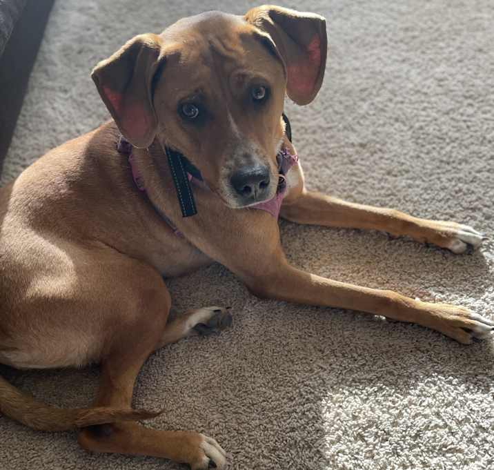 Photo of Coco