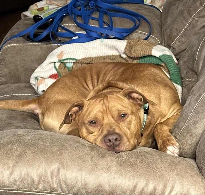 Photo of Hank