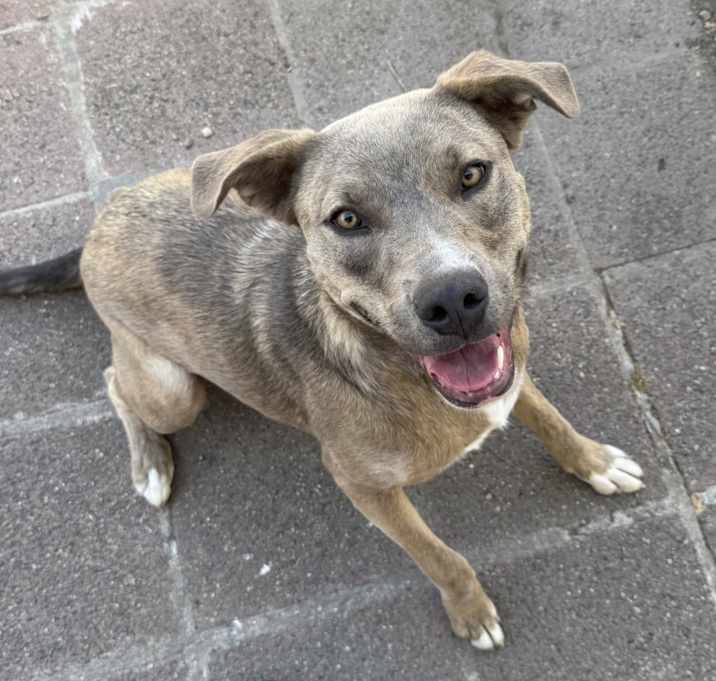 Photo of Wally