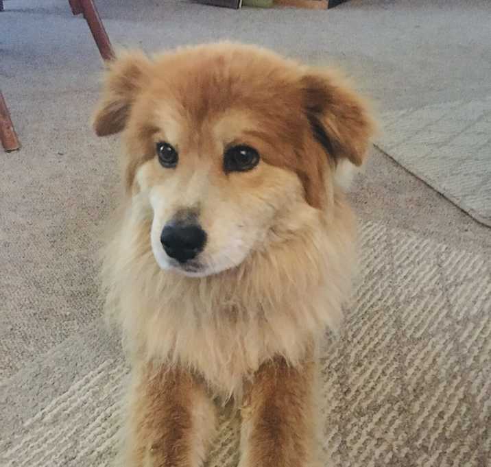 Photo of Hazel