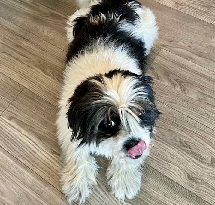 Photo of Charlie