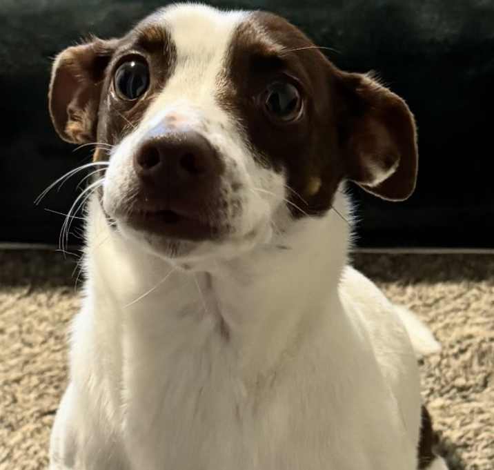 Photo of Hazel