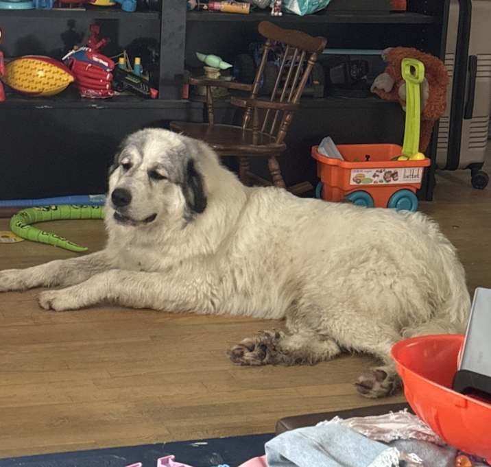Photo of Ralph