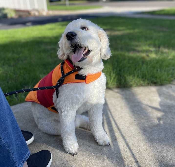 Photo of Max