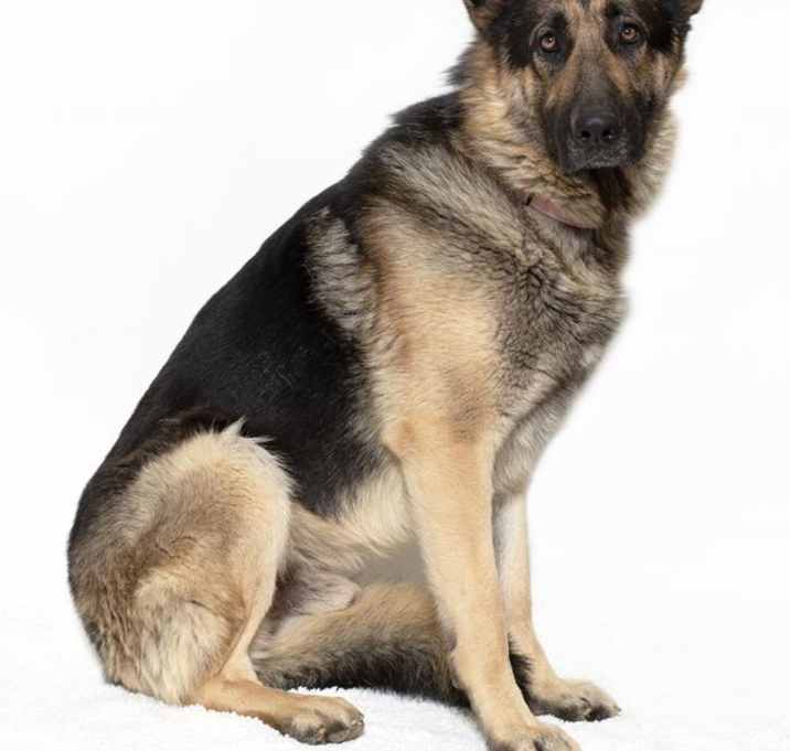 Photo of BEAU