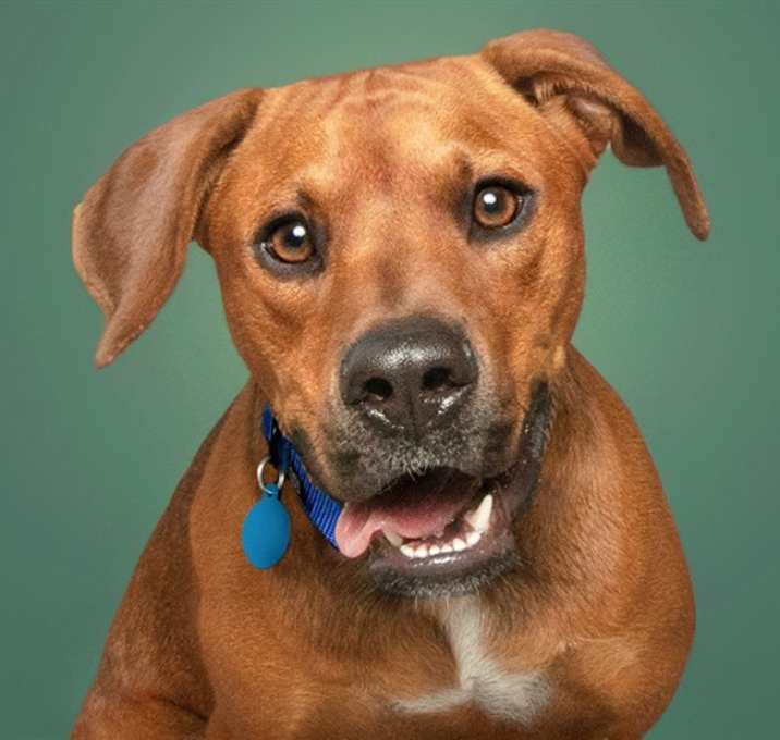 Photo of MOJO