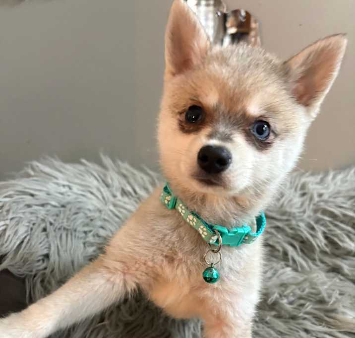 Photo of Kiana
