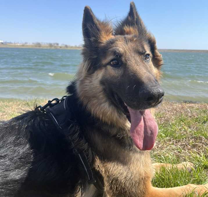 Photo of Max