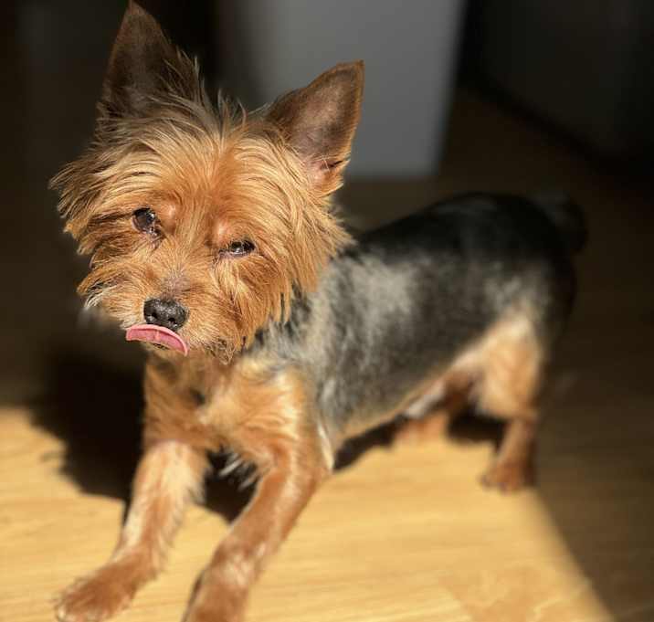 Photo of Cash
