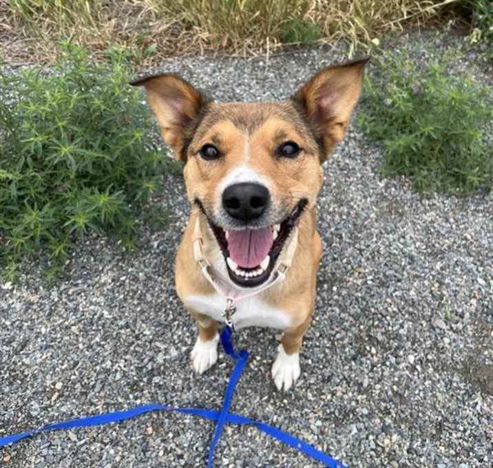 Photo of Zelda