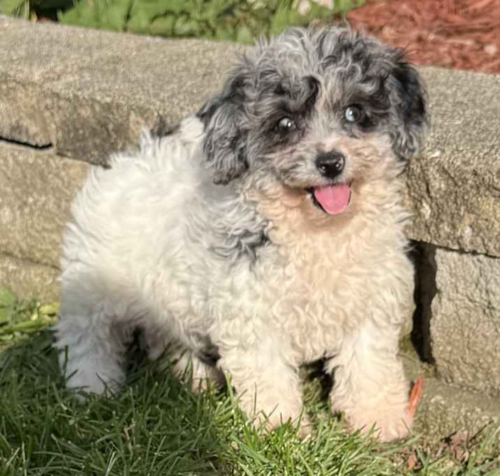 Photo of Dakota