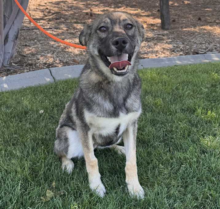 Photo of Elsa