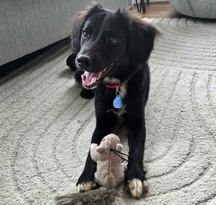 Photo of Boots