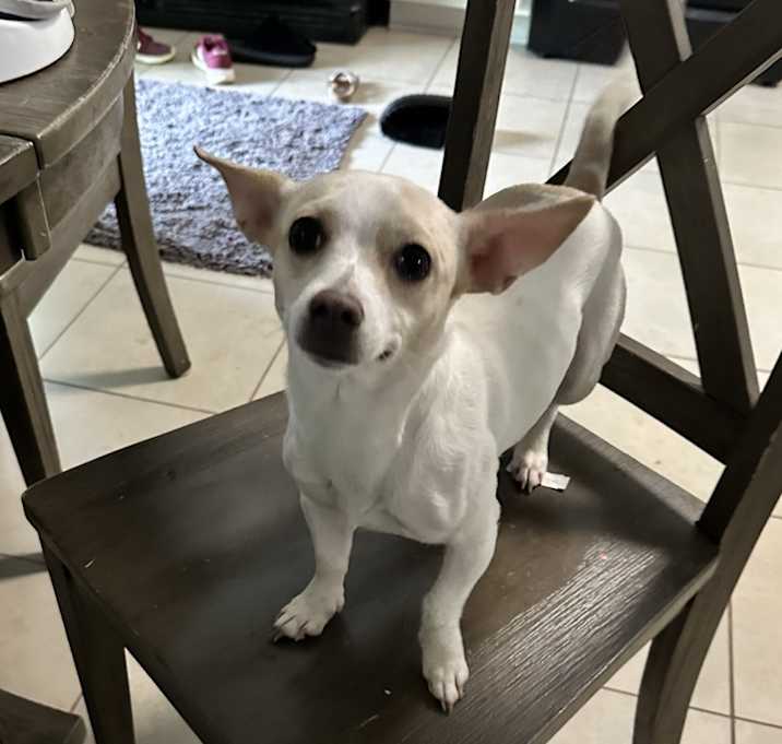 Photo of Lucy