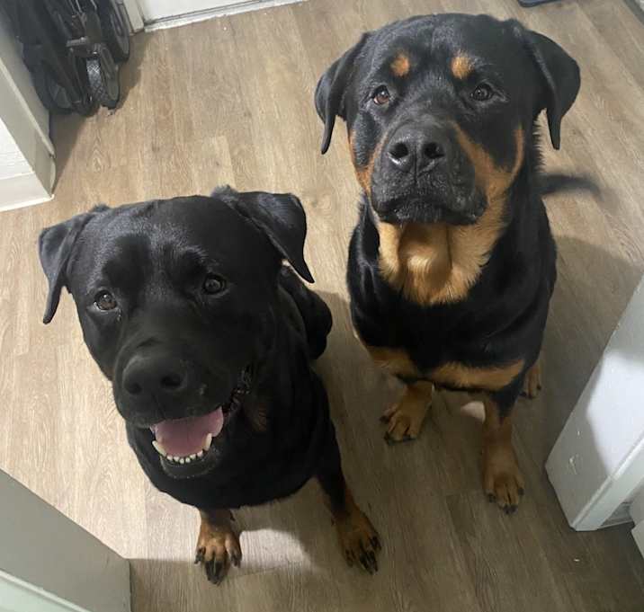 Photo of July&Po