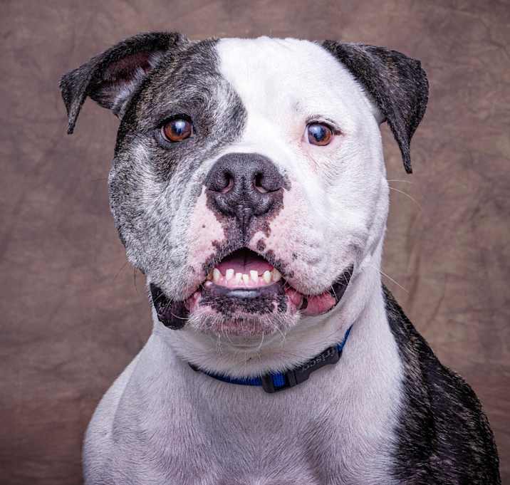 Photo of Axel
