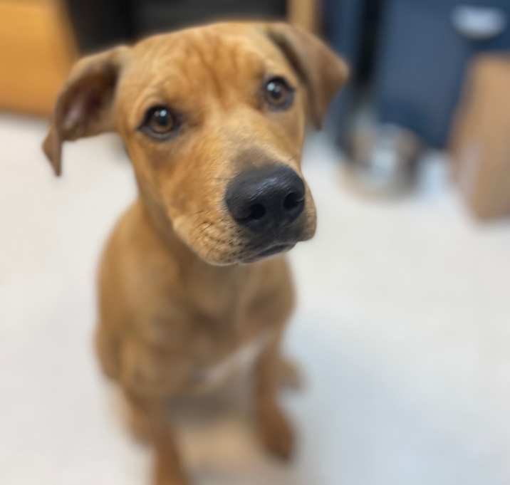 Photo of Lyla 25-1230