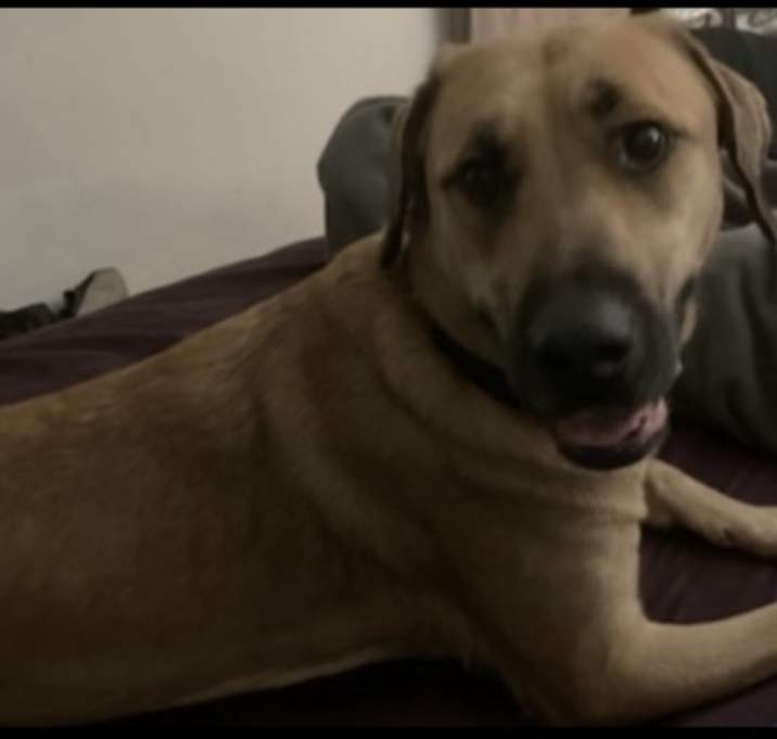 Photo of Butter