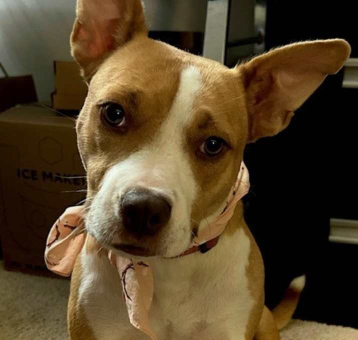 Photo of Molly