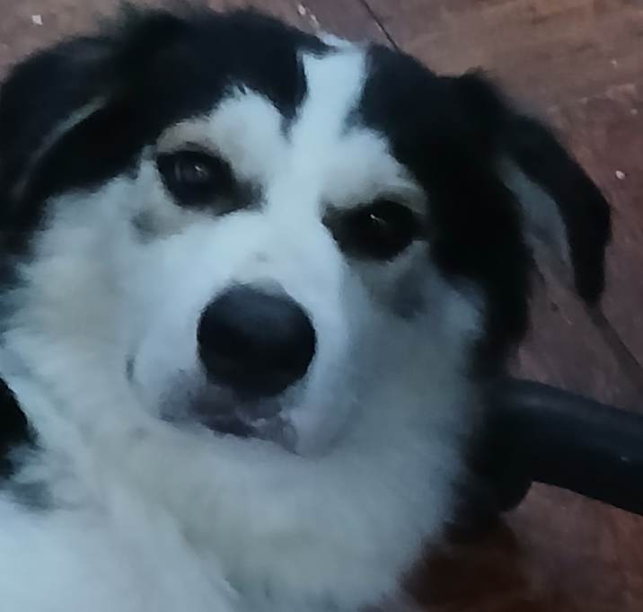 Photo of Arthur