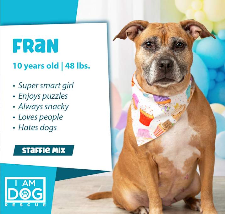 Photo of Fran