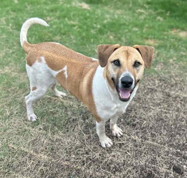 Photo of DUKE