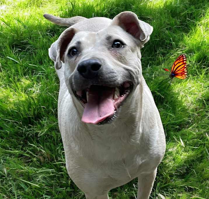 Photo of FOGGY