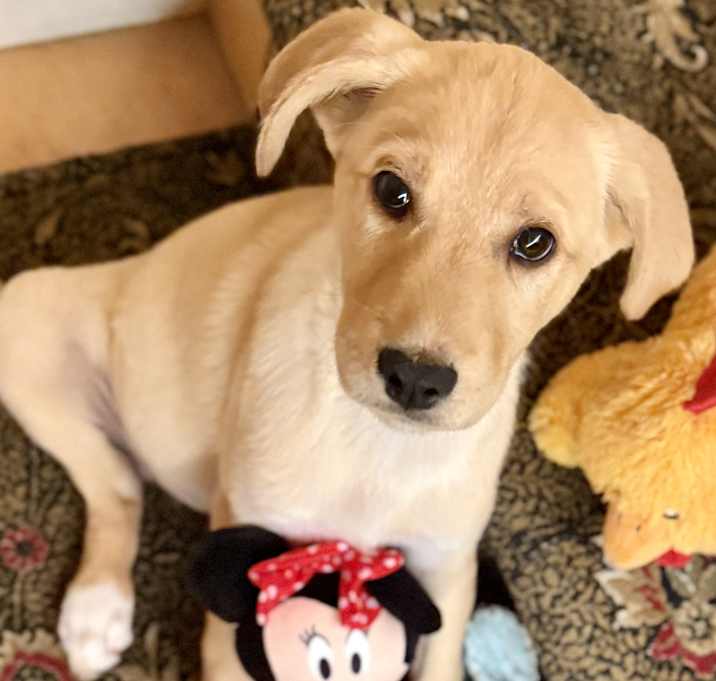 Photo of Everly