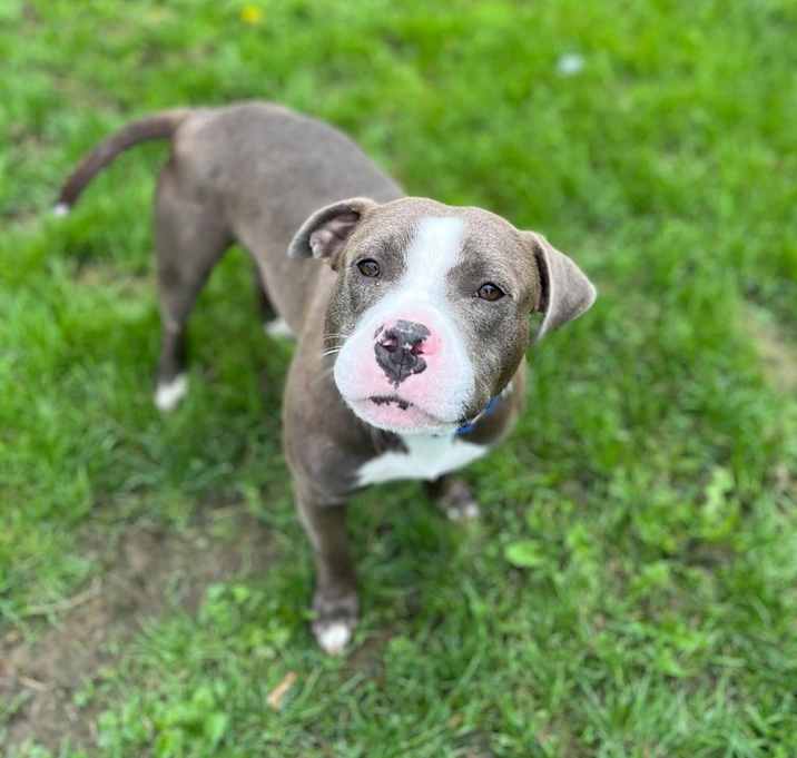 Photo of Max