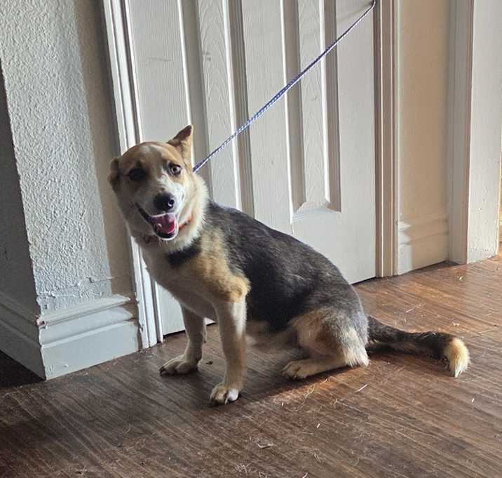 Photo of Taffy