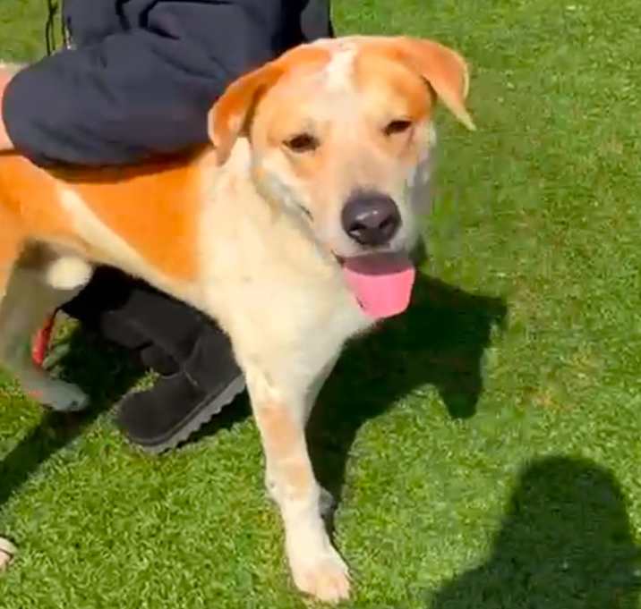Photo of Bruno