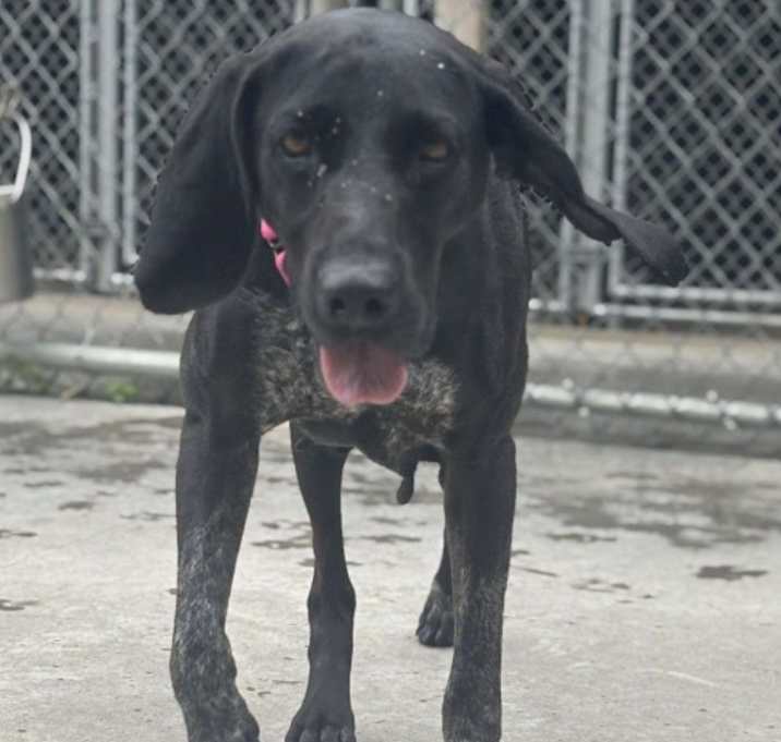 Photo of Baylee